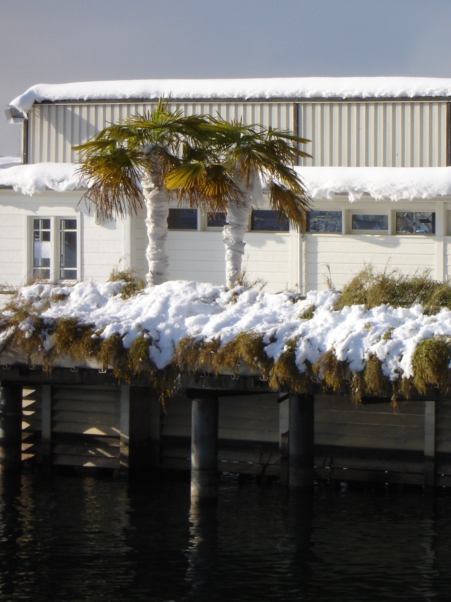 Netzwerk . Advokatur Villiger Anwalt Zürich